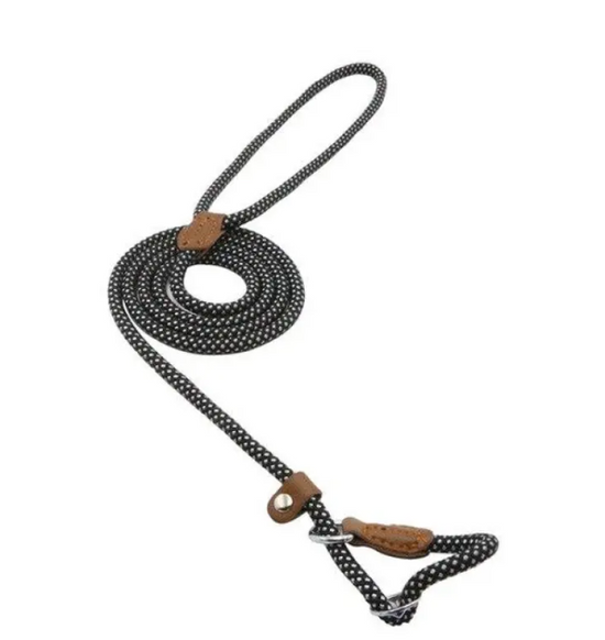 Collar y correa para perro de nailon resistentes