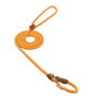 Collar y correa para perro de nailon resistentes