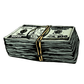 Shaggy Area Rug with a playful dollar design showcasing stacks of money in a luxurious, plush texture.