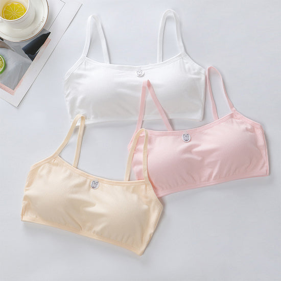 Three pastel-colored bras on a light gray background