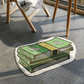 Shaggy Area Rug featuring a playful dollar design 