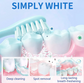 Teeth Whitening Powder