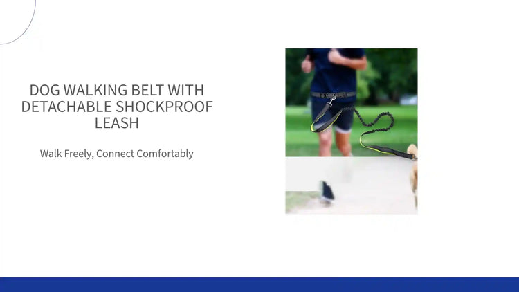 Dog Walking Belt with Detachable Shockproof Leash by@Outfy